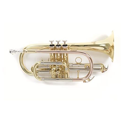 Roy Benson RB701090 - Corneta en Sib CR-202, acabado lacado, estuche ligero rectangular