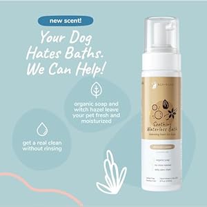 Kin+kind dry shampoo and deodorizing spray bundle  waterless dog shampoo  pet odor eliminator deodorizing spray  almond+vanilla waterless bath foam and easy to use dog coat spray   cucciolini doodles