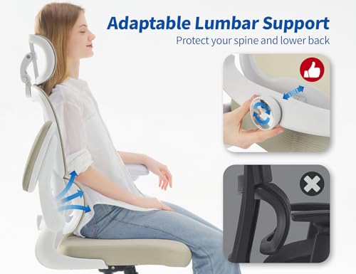 Image of TRALT Ergonomic Office Chair Desk Chair with Adjustable Lumbar Support