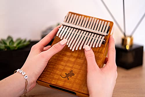 Ortega Kalimba Pouce Piano acoustique – Série Lizard – 17 Touches – Méditation, LoFi – Etui Deluxe, Sacoche, Marteau d… - Les Beatles, Paul McCartney, John Lennon, RIngo Starr, George Harrison Ortega Kalimba Pouce Piano acoustique - Série Lizard - 17 Touches - Méditation, LoFi - Etui Deluxe, Sacoche, Marteau d… – Image 4