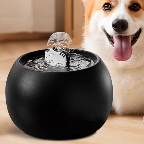 Fuente para gatos recargable que soluciona el agua estancada 4