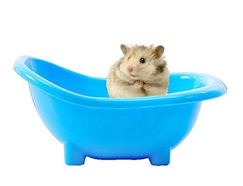 See full amazon price history chart for 19cm Bath Sand Tub Cum Bathroom for Hamster/Dwarf/Gerbil/Chinchilla/Mice (Random Color) 19cm Bath Sand Tub Cum Bathroom for Hamster/Dwarf/Gerbil/Chinchilla/Mice (Random Color) (B07D7HG5Z9) Amazon Price History, Amazon Price Tracker