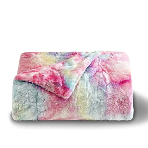 Newcosplay Super Soft Faux Fur Throw Blanket For Couch Double Rainbow Sherpa Fuzzy Plush Warm Blanket For Sofa Bed (Double Rainbow, Throw(50"X60")) #TOP9