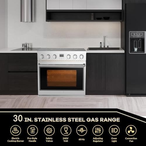 30'' Electric Range Oven with 4 Heating Elements Cooktop, Professional Convection Oven, 4.8 cu. ft Capacity, in Stainless Steel, Clock, Smooth Glass Top