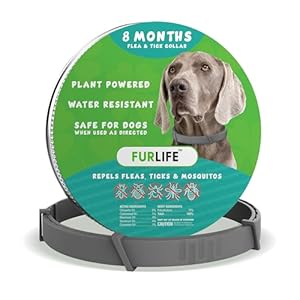 FurLife Flea and Tick Collar for Dogs – Waterproof Grey Dog Collar, Pet Supplies for Tick and Flea Prevention for Dogs, Safe for All Breeds