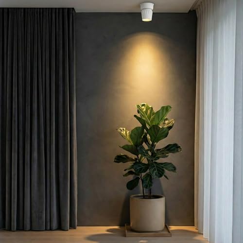 Image of LED Indoor Ceiling Spotlight, Hardwired Directional Dimmable Fixture | 12W Modern Spot Light Indoor, 350 Rotation, Surface Mount Accent Light for Picture Painting Living Room Bedroom, CRI97 White