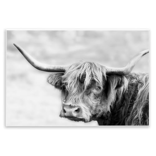 Bold Country Cattle, 10 x 15 Inch Mounted Print on Wall Plaque | Stupell Industries · By Danita Delimont · Cabin and lodge charm · Ready to hang · Made in USA