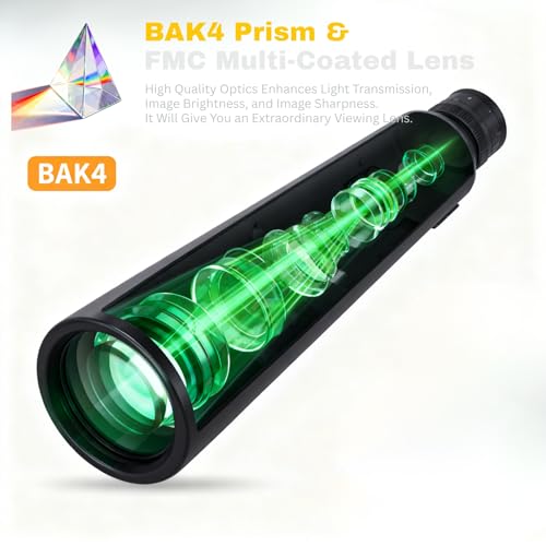Binoculares compactos 10x25 para adultos, baja luz miniatura 2