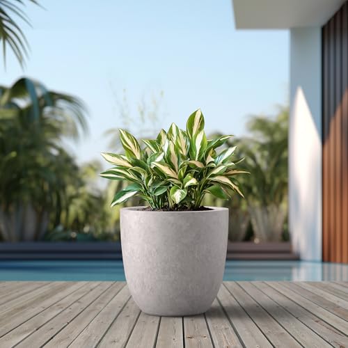Image of Kante Large Round Bowl CON Gray Concrete Planter 18 inch Dia, Outdoor