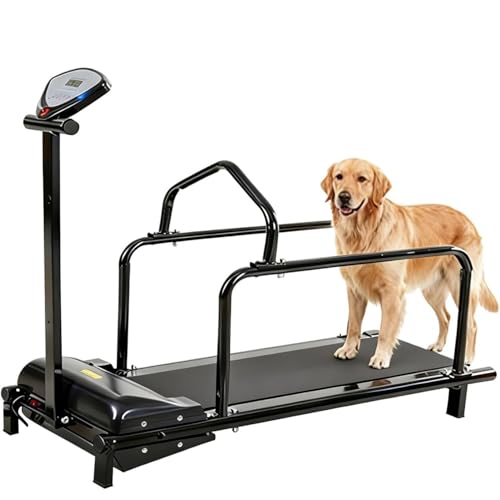ByBoDi Cinta de Correr eléctrica para Perros, para Interiores, con Pantalla, soporta hasta 80 kg, Ideal para Perros pequeños y medianos.