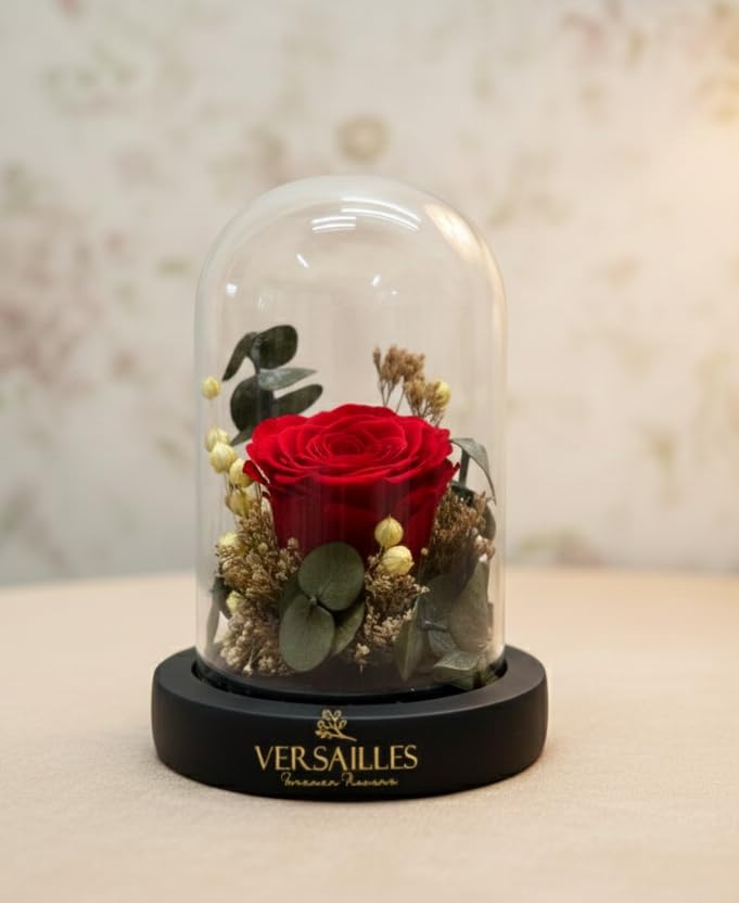 Versailles Preserved Rose in Glass Dome, Multicolor, Home Decor, 230 Grams-image-30