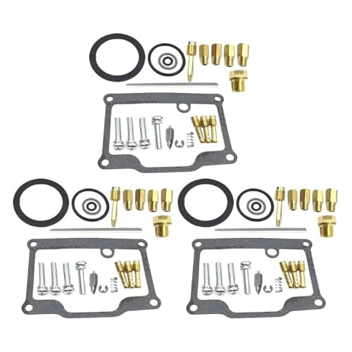 Éliminer fuite carburateur Polaris Indy XLT 600 grâce au kit de réfection complet 14823125