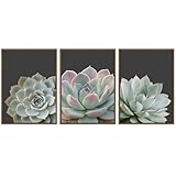 Succulent Wall Art Framed Nature Plant Echeveria Cactus Wall Decor, Tropical Nature Wilderness Botanical Canvas Prints for Bathroom Living Room Bedroom- Ready to Hang, Set of 3, 12'x16'