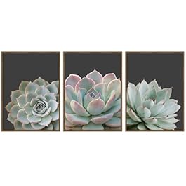 Succulent Wall Art Framed...