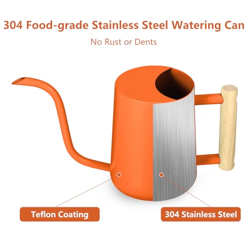 Image of Watering Can Indoor Plants, 35oz Small Stainless Steel Metal Watering Can Modern Decorative Watering Pot with Long Spout for Indoor House Plant Bonsai Garden Flowers (Orange)
