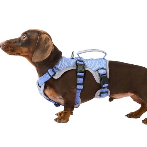 Huntboo Escape Proof Dog Harness