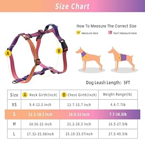 RosesPoetry-Small-Dog-Harness-and-Leash-Set-No-Pull-Dog-Harness-Adjustable-Reflective-Dog-Halter-Harnesses-Comfort-Padded-Handle-Pet-Harness-for-Training-Outdoor-WalkingMistyrose-S - Cucciolini Doodles   RosesPoetry-Small-Dog-Harness-and-Leash-Set-No-Pull-Dog-Harness-Adjustable-Reflective-Dog-Halter-Harnesses-Comfort-Padded-Handle-Pet-Harness-for-Training-Outdoor-WalkingMistyrose-S