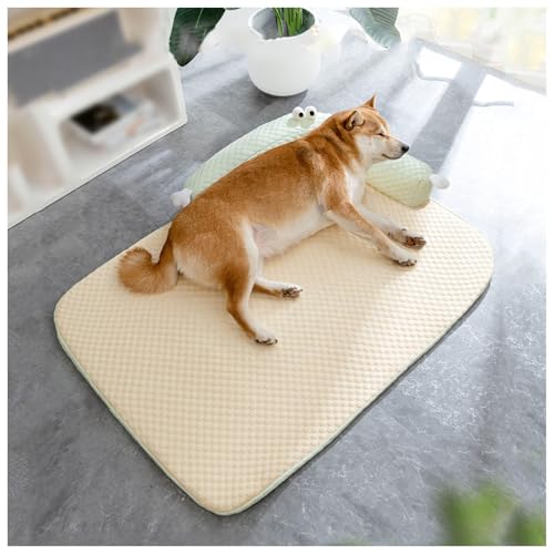  p}bg ڐG⊴ p΍ ʋC  fM 􂦂 ~ Ђ}bg L xbh L ėp}bg xbh Ђxbh ,Yellow-M