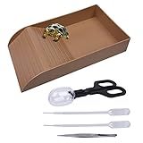 Tortoise Food Dish with Ramp and Basking Platform, Tortoise Food Water Dish Included Forcep, Cleaning Clips and Feeding Tube, Tortoise Water Dish Set, Reptile Tortoise Turtle Feeding Dish for Turtles