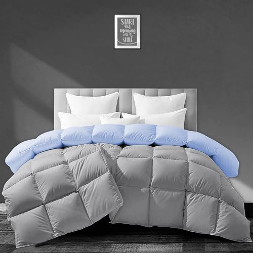 Image of Luxurious 500 GSM Winter Comforter Double Bed Size (90 inchX100 inch) - Premium Collection Heavy Winter Comforter 500 GSM Microfiber Fill - Duvet /Blanket Double Bed - Sky Blue /Silver Grey Color