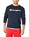 Champion Men's Graphic Powerblend Fleece Crew