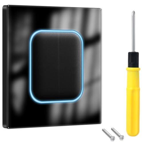 Acmerota Interrupteur noir avec indicateur carré Interrupteur mural à bouton-poussoir 16 A Interrupteur mural à bouton-poussoir double 2 voies pour bureau à domicile, école