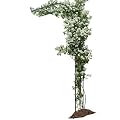 BUKLIYN Half Sided Arch Against The Wall Garden Arch Trellis - Garden Arch Arbor Trellis for Climbing Plants Outdoor - Garden Arch Trellis Arbor for Home Yard and Garden?Black?