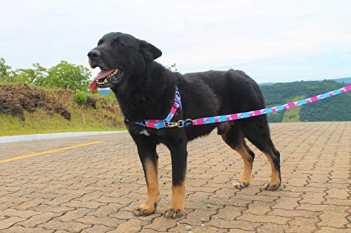 Peitoral Antipuxão + Coleira + Guia Piazza Para Cachorros Grande Porte Tam G