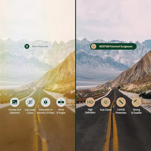 WISTON Wood Grain Polarized Sunglasses for Men and Women, UV400 Protection,TR90 Retro Mens Sunglasses W8809-Blue3