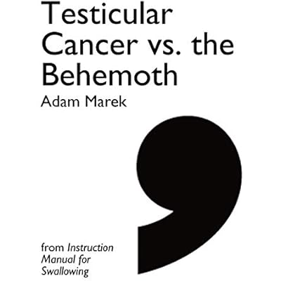 Testicular Cancer vs. the Behemoth