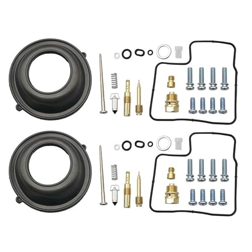 Kit de réparation carburateur résolvant les fuites d'essence sur VT600 Shadow 1988-1998