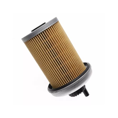 Filtro de combustible TP1256 con tapa para motor 2