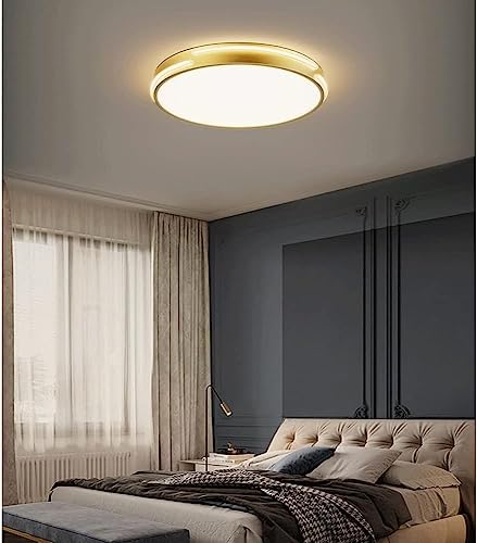 Plafonnier à trois températures de couleur LED avec diffuseur moderne de 50cm - 5