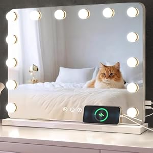 baklon Schminkspiegel mit Beleuchtung,Hollywood Spiegel mit 14 LED Licht Dimmbar Kosmetikspiegel 3 Modi,58 x 43 cm Vanity Spiegel Tischspiegel mit USB 10X Vergrößerung für Schlafzimmer Schminktisch