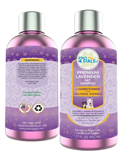 I Tested The 12 Best Nontoxic Shampoos And Conditioners