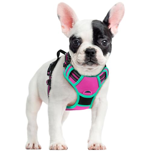 Image of rabbitgoo Dog Harness No Pull with 2 Leash Clips, Adjustable Soft Padded, Reflective Oxford No Choke Pet Vest with Easy Control Handle for Large Dogs, Hot Pink & Turquoise, S