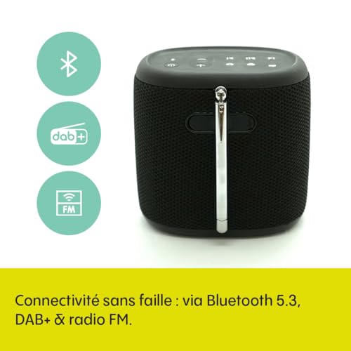Pure Woodland Enceinte Portable Mini, Haut-Parleur Bluetooth avec Radio Dab+/FM (étanche IP67, Batterie 17h - Parfait pour Le Jardin et Le Camping) Noir