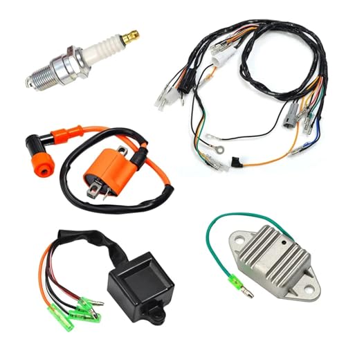 Bobine d'allumage Blaster 200 pour rouler en toute liberté en quad