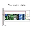 MHCOZY-Modulo-de-interruptor-de-rele-RF-WiFi-de-2-canales-aplicacion-Ewelink-control-remoto-WIFI-para-control-inteligente-de-acceso-a-la-puerta-del-garaje-compatible-con-Alexa-Goolge-Home-5-32V