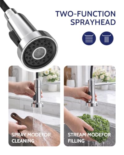 Image of LUFEIDRA Pull-Down Kitchen Faucet with Soap Dispenser, Chrome