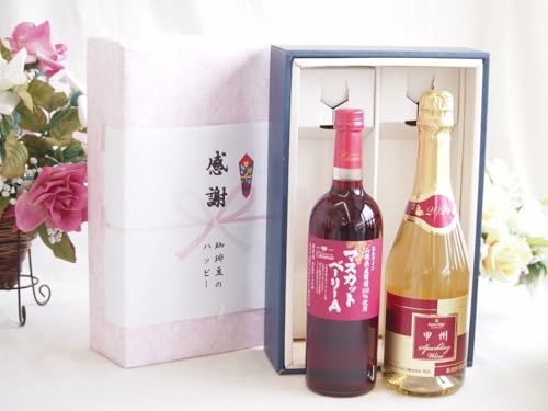 ̏H̑蕨 ӂ̑蕨{bNX RY}XJbgx[[AgpCƍYC2{Zbg(bBXp[NO Ch(R)720ml}XJbgx[[AԃC720ml