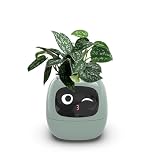 Itigoitie Smart Flower Pots, AI Planter, Multiple Expressions, 7 Smart Sensors and Ai Chips Make it Easy to Grow Plants, Fun for Living Room, Bedside Table, Desk, No Plant, Green