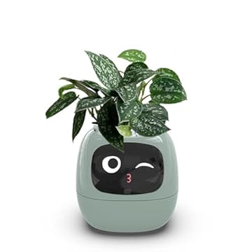 smart flower pot with face