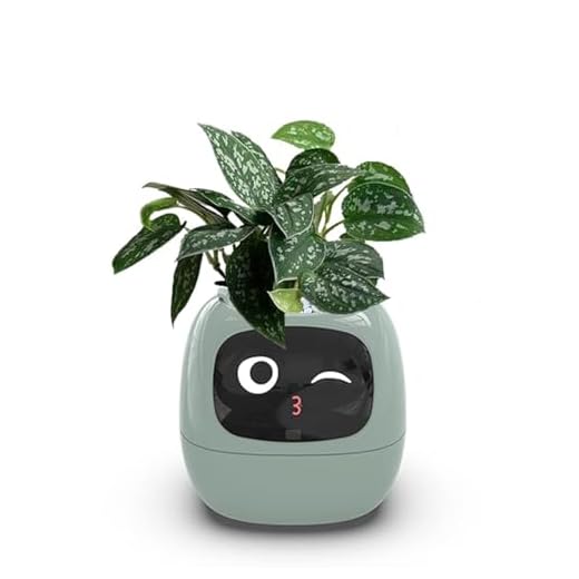 AI Smart Planter with Sensors and Display