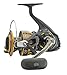 Daiwa BG1500 BG Saltwater Spinning Reel, Black/Gold