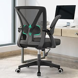 Office Chair - Ergonomic Desk Chair with Adjustable Lumbar Support & Armrest, Upgraded Comfy Seat Cushion, Tilting & Height Adjustment Computer Chair Executive Task Study Work Chair for Home Office
