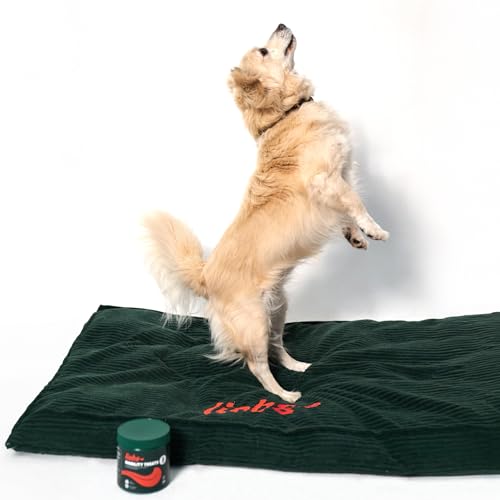 liebs Hunde Leckerlies Verdauung, Darm & Magen (20 x 15g) Relief Snack | Heilmoor für Hunde mit empfindlichen Magen | Dog Treats unterstützen die Normale Verdauung | Kohletabletten | 100% pflanzlich