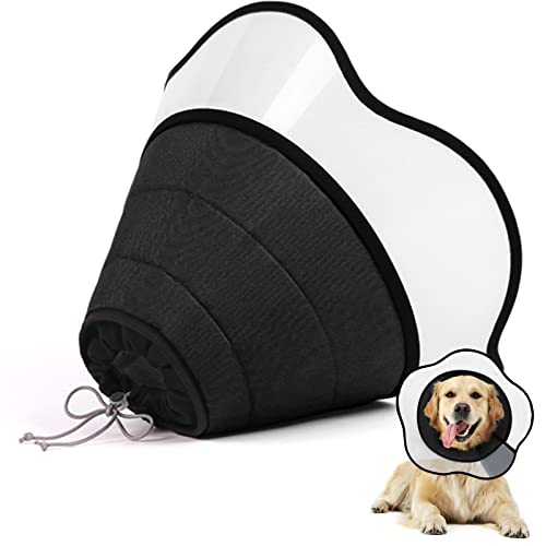 10 Best Soft Dog Cone Review And PDHRE
