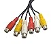 Wyvern Triple RCA Stereo Audio and Video Cable - Male to Dual Female/AV Splitter Composite 3 RCA Av Video Audio Cable 0.72 feet (22cm) Wv-av1to2-22