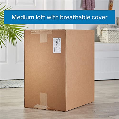https://m.media-amazon.com/images/I/41FUrqkSYxL.jpg